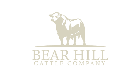 bear hill